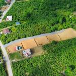 Kocaali Kadıköy'de Panoramik Deniz Manzaralı Yatırımlık İmarlı Arsa